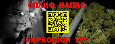 трава Пугачёв