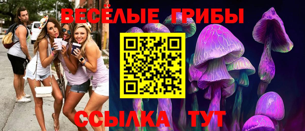 Россошь  Галлюциногенные грибы GOLDEN TEACHER  Вход с VPN 