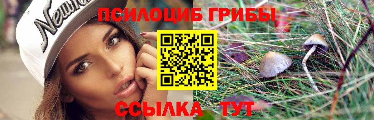 Псилоцибиновые грибы ЛСД Россошь